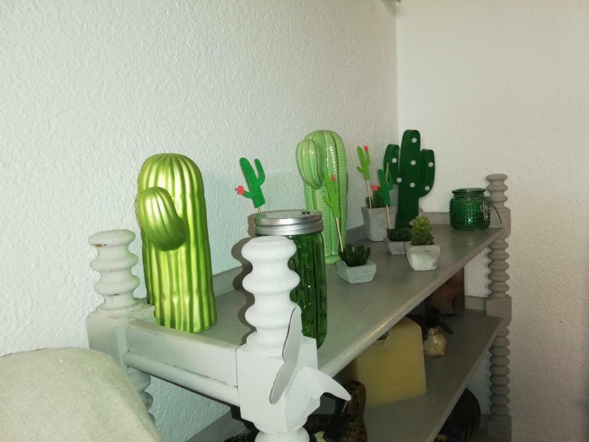 Can Cactus Garriguella Exteriér fotografie